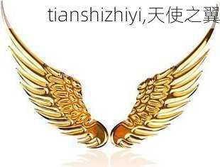 tianshizhiyi,天使之翼