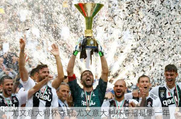 尤文意大利杯夺冠,尤文意大利杯夺冠是哪一年
