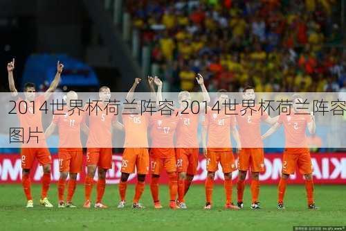 2014世界杯荷兰阵容,2014世界杯荷兰阵容图片